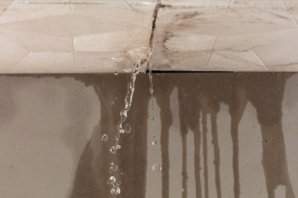 Professional Burst Pipe Cleanup technician working in Wellington, NV
